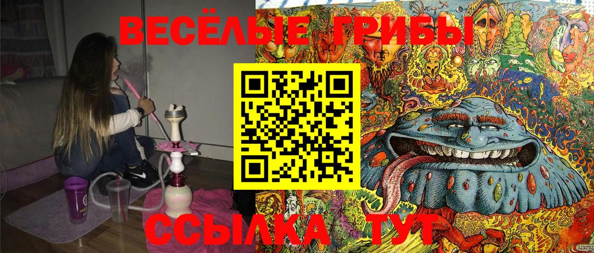 Галлюциногенные грибы GOLDEN TEACHER  Галлюциногенные грибы MAGIC MUSHROOMS  Вход с VPN  Кимовск 