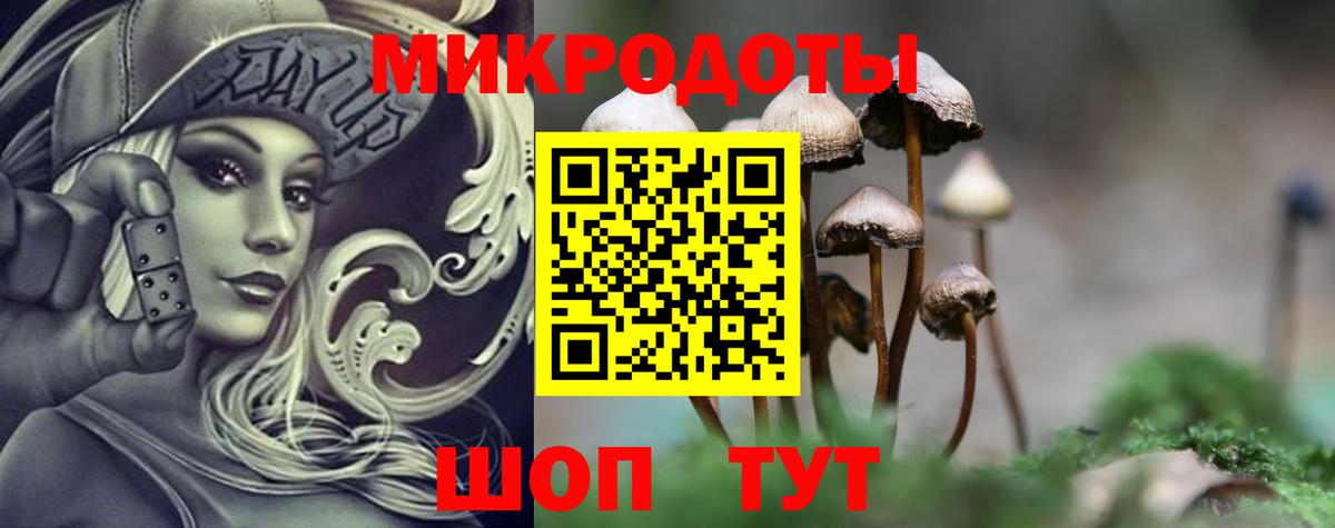 Галлюциногенные грибы Psilocybine cubensis Кимовск